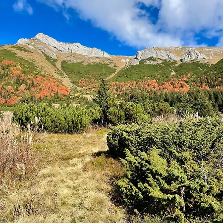 Mezonet Lomnica - タトランスカ・ ロムニツァ