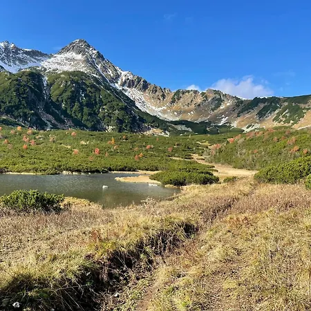 Mezonet Lomnica - * タトランスカ・ ロムニツァ